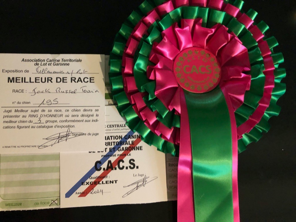 Tess tea Du Bois De Capsil - 1ere EXC - CACS - BOB (meilleur de race)