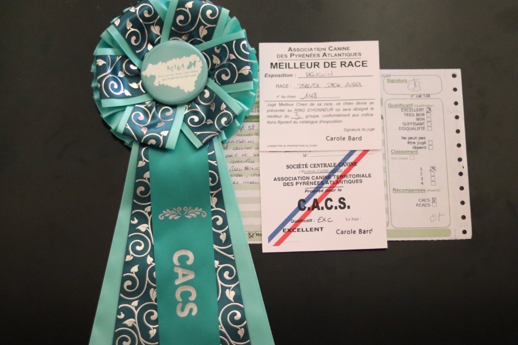 Vanda Du Bois De Capsil - 1ere EXC-CACS- BOB (meilleur de race)