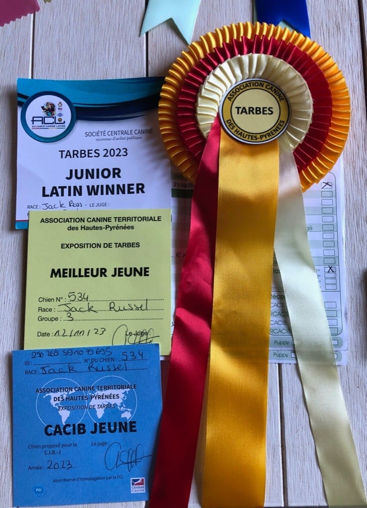 Tess tea Du Bois De Capsil - 1ere EXC. CACIBJ. Meilleur jeune. Latin Winner.