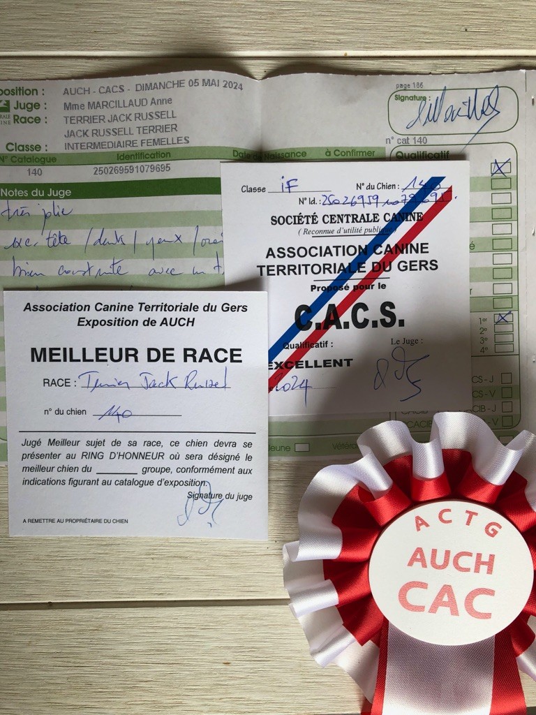 Tess tea Du Bois De Capsil - 1ere EXC - CACS - BOB (meilleur de race)