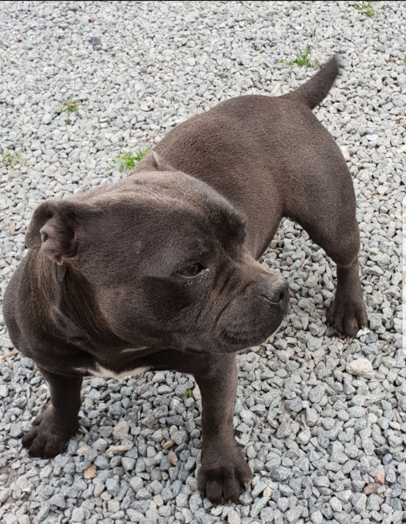 Publication : of Cuddle and Beauty