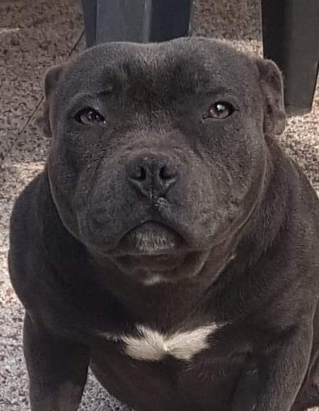 Publication : of Cuddle and Beauty