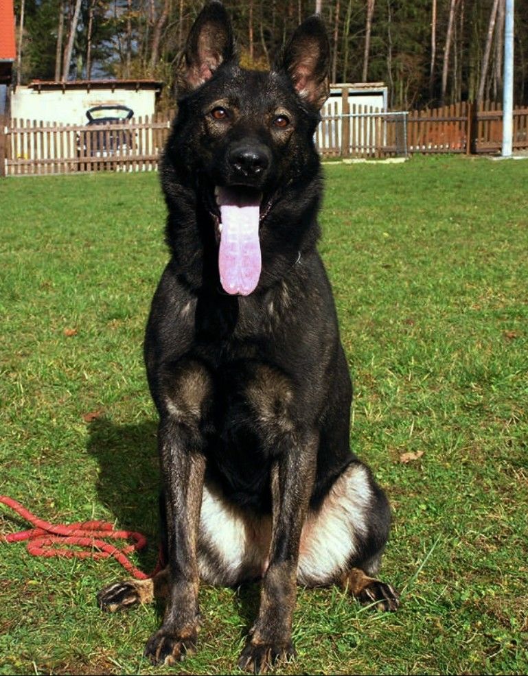 Publication : Domaine De Cilaos