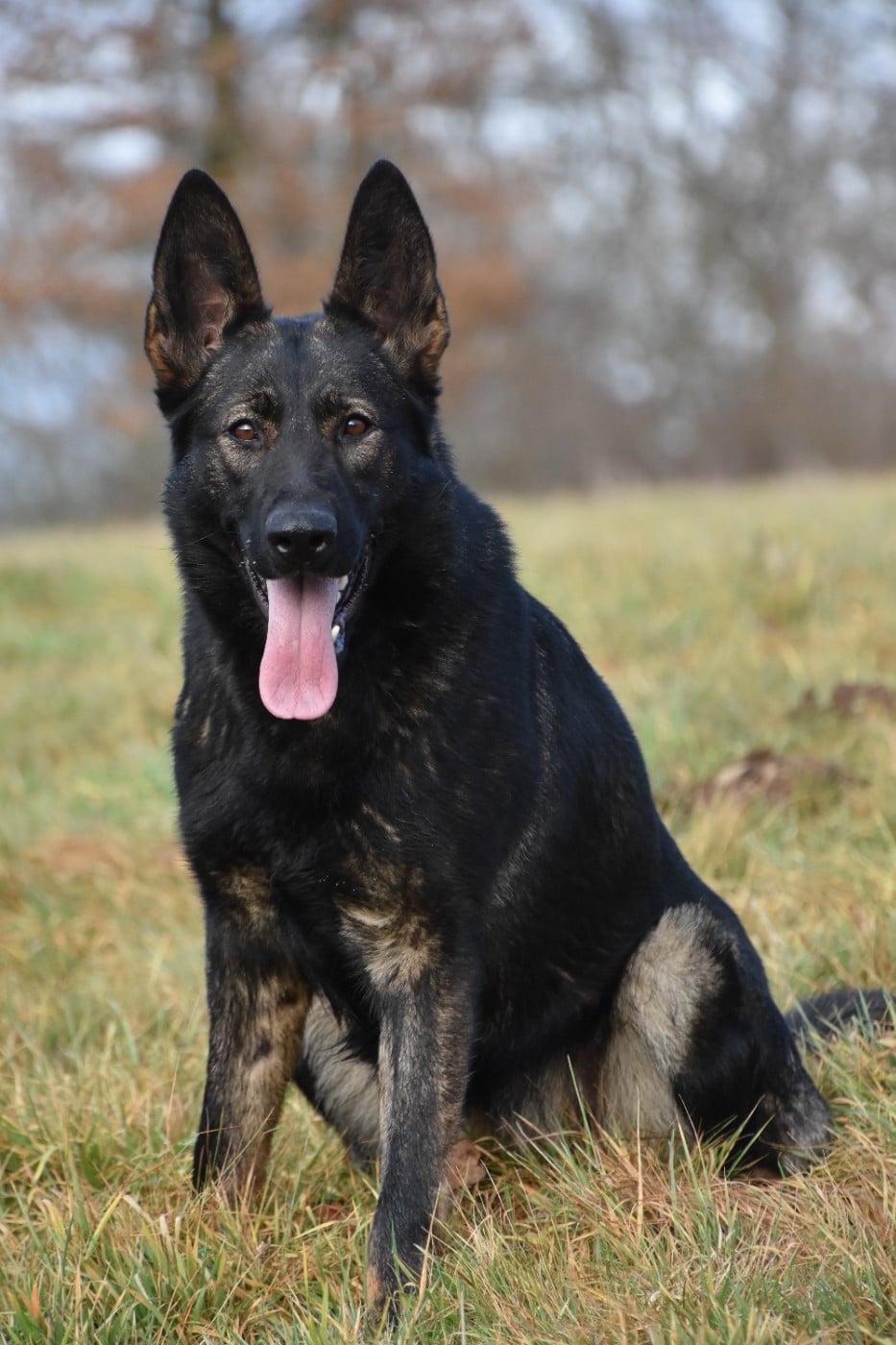 Publication : Du Creux Céleste