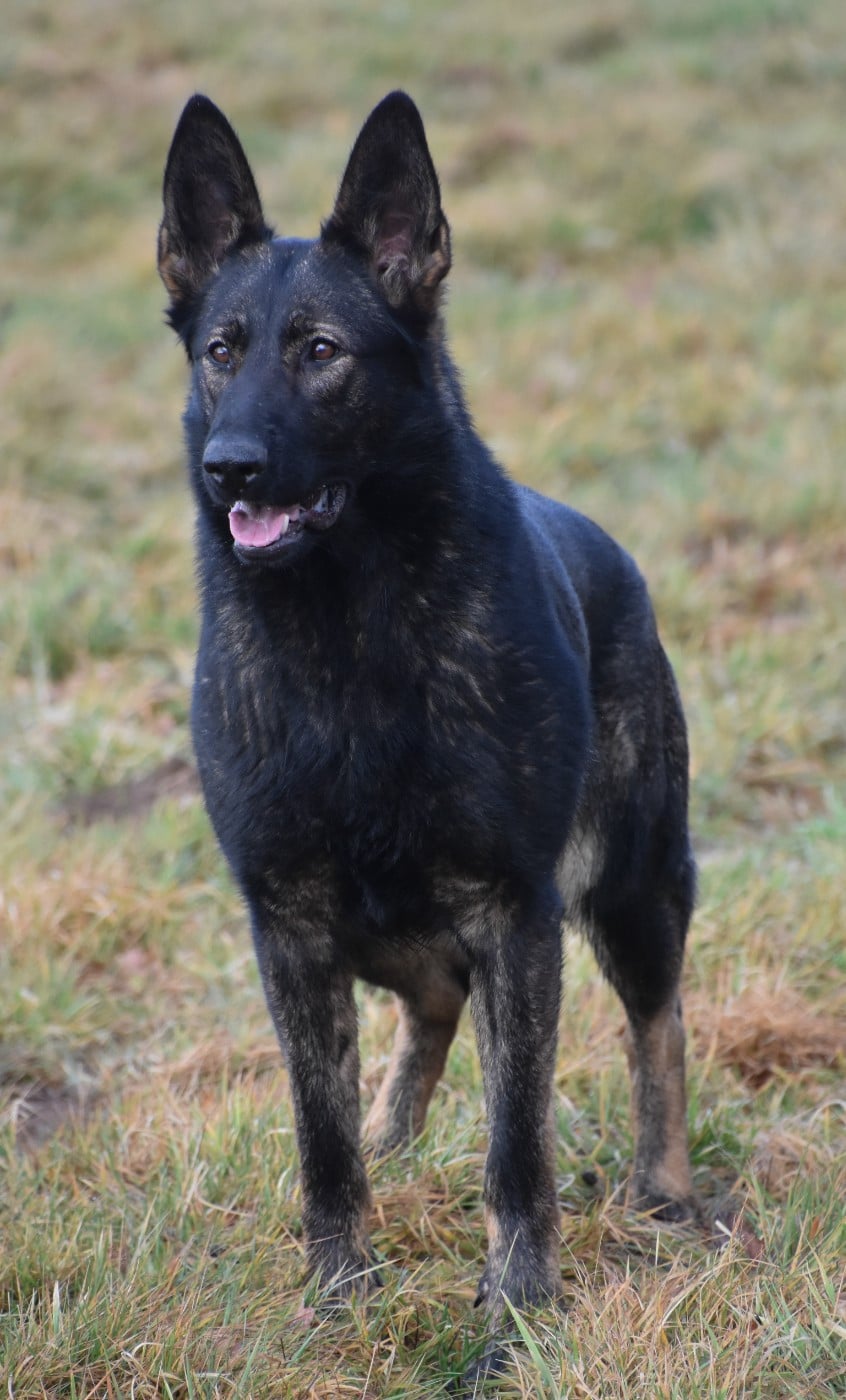 Publication : Du Creux Céleste