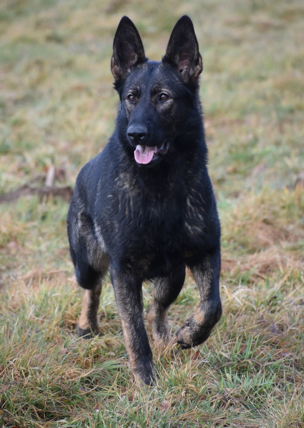 Publication : Du Creux Céleste