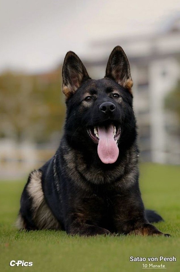 Publication : Du Creux Céleste