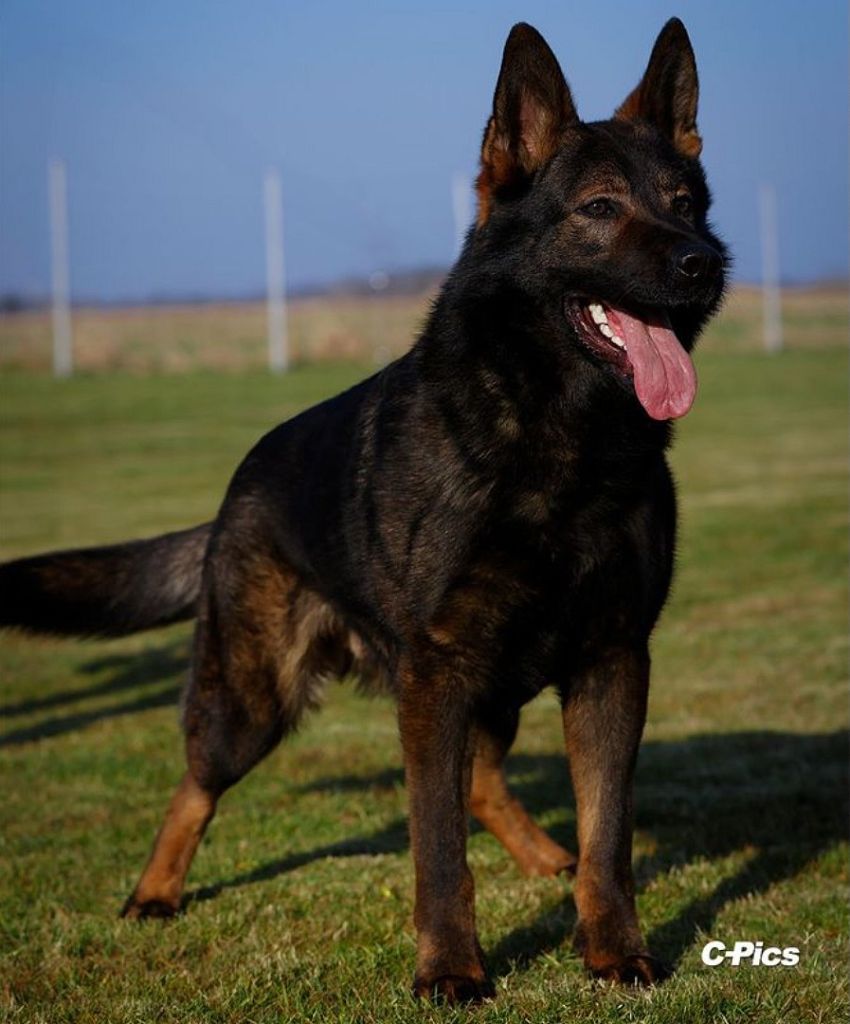 Publication : Du Creux Céleste