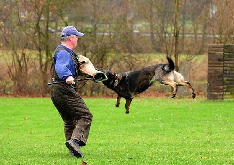 Publication : Domaine De Cilaos