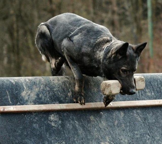 Publication : Domaine De Cilaos