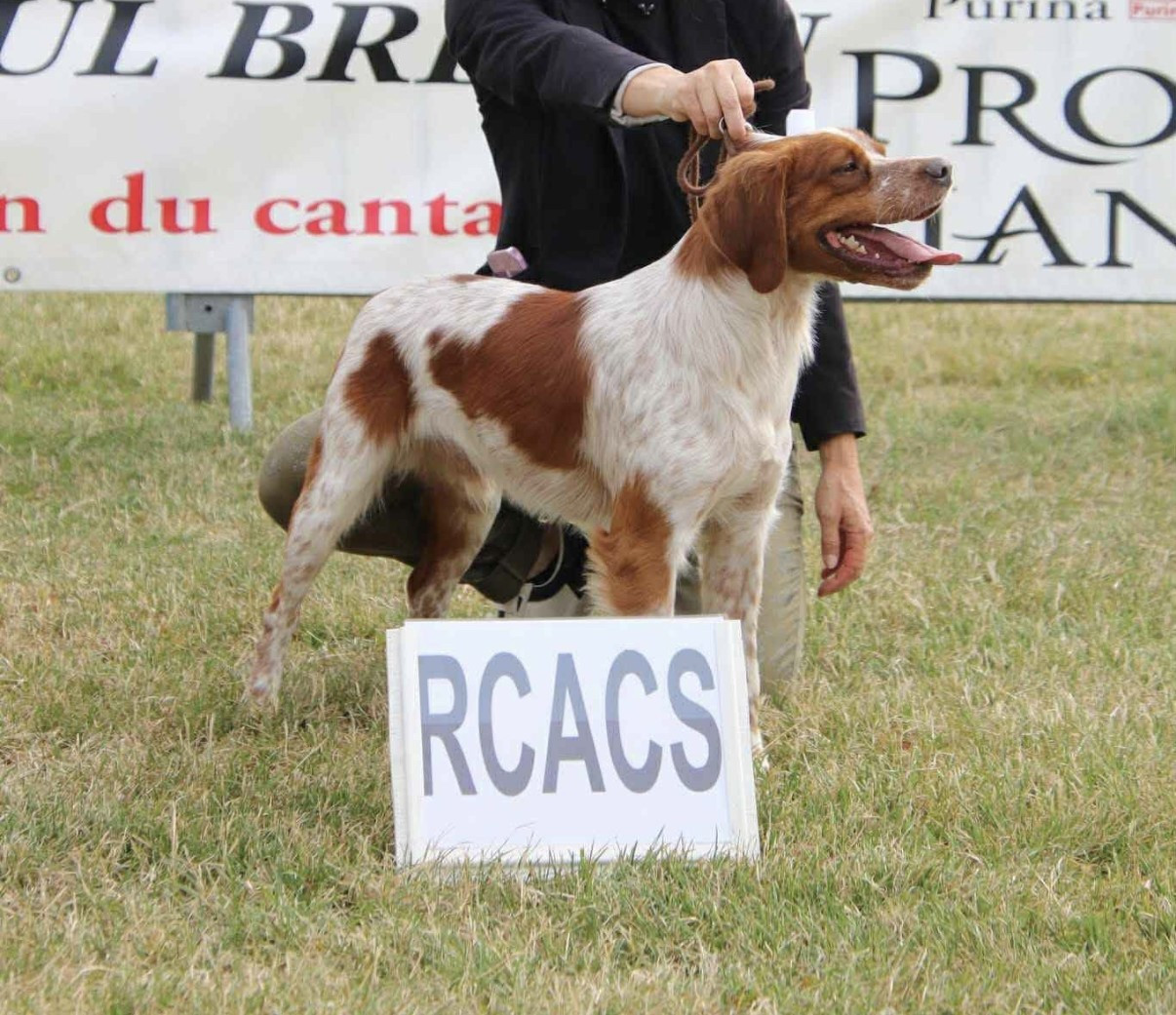 TR. Ulof De La Pointe De Roumagnac