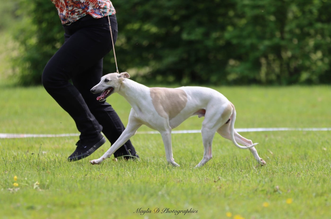 Aaniston Redefining Top Class (Sans Affixe)