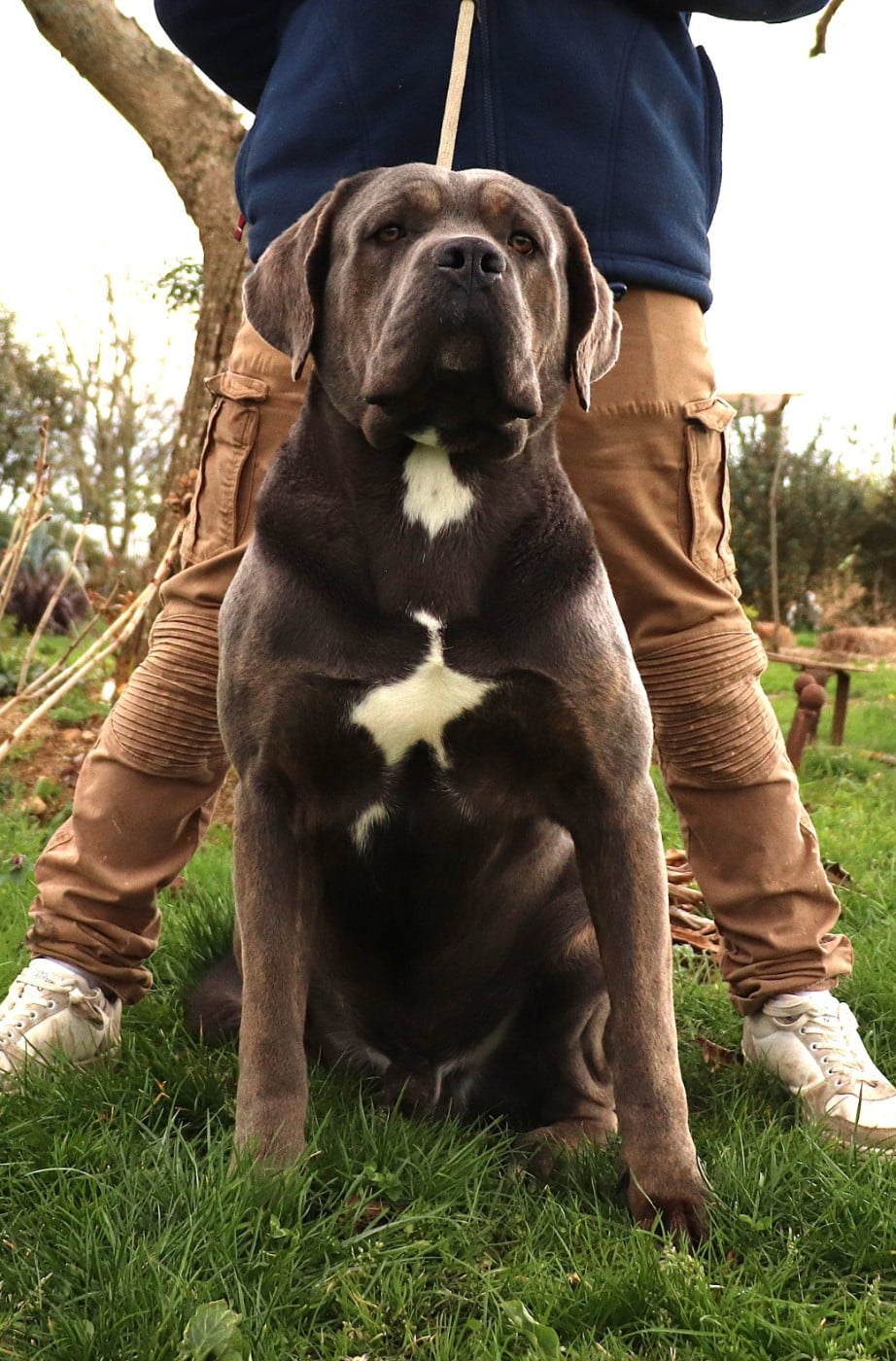 Vegas Du Domaine Des Vents Landais