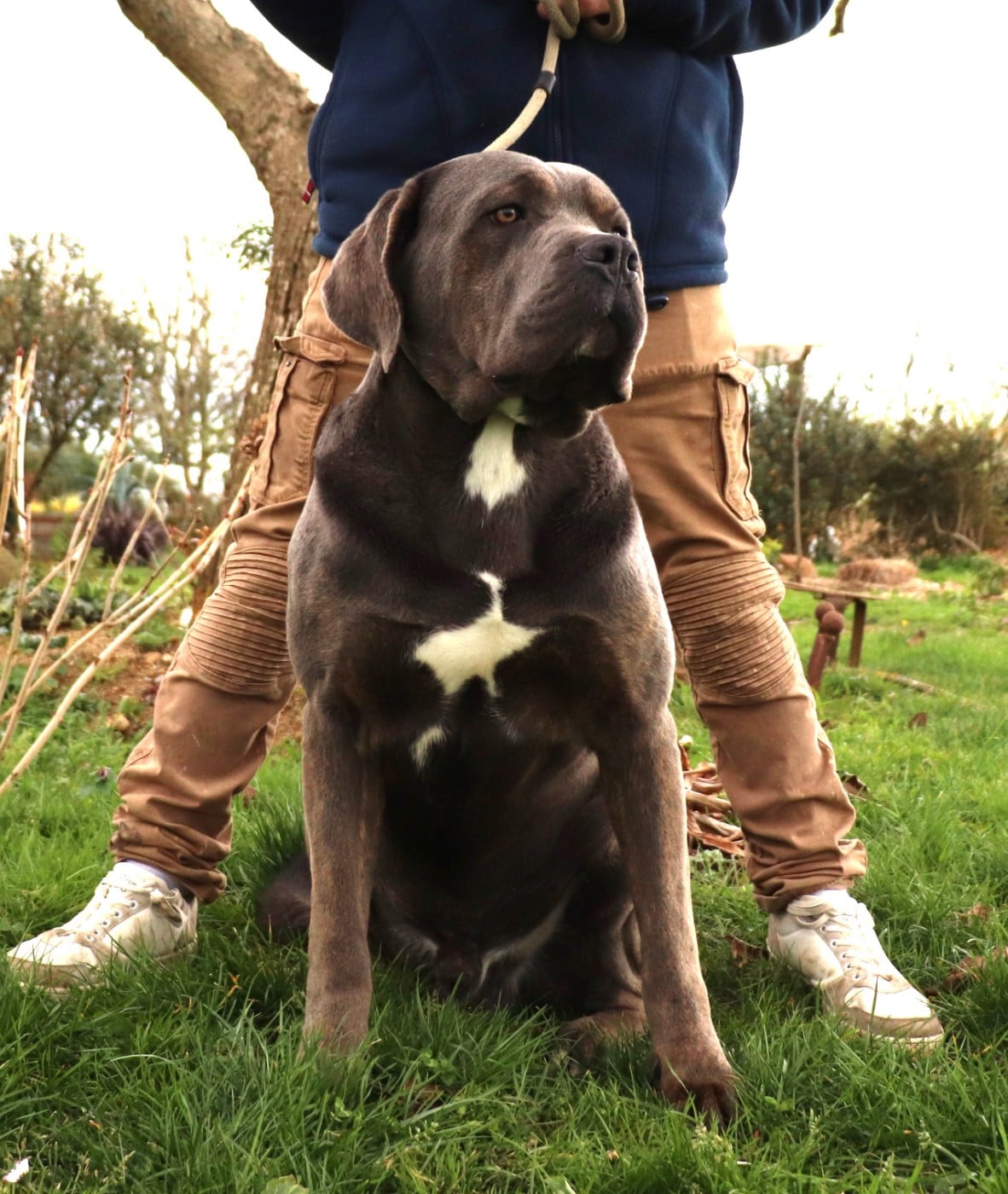 Vegas Du Domaine Des Vents Landais