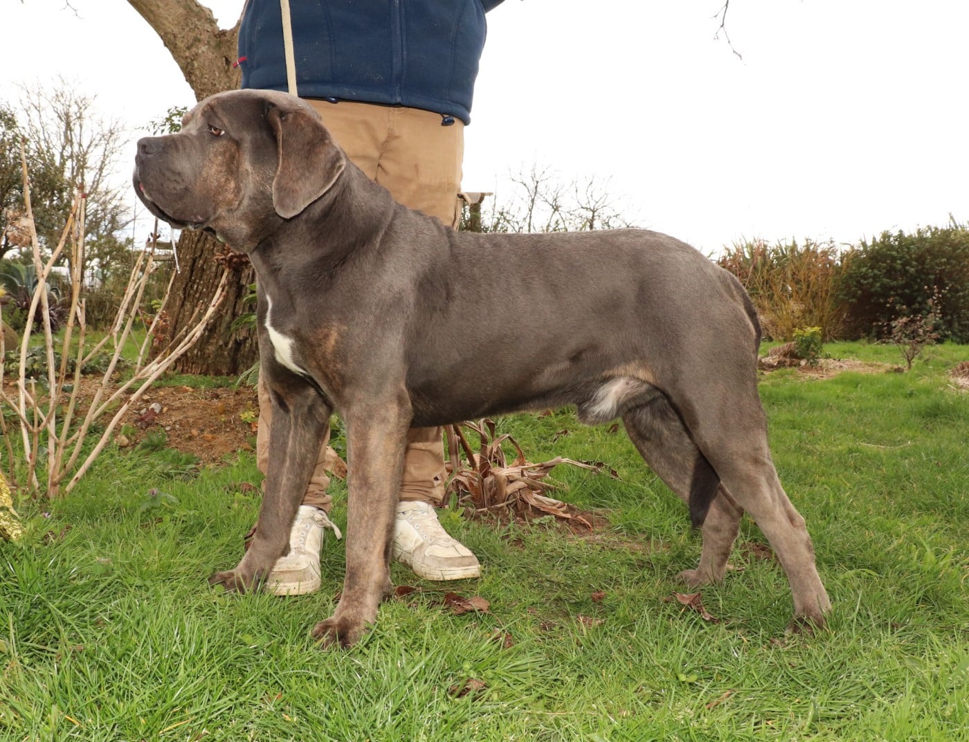 Vegas Du Domaine Des Vents Landais