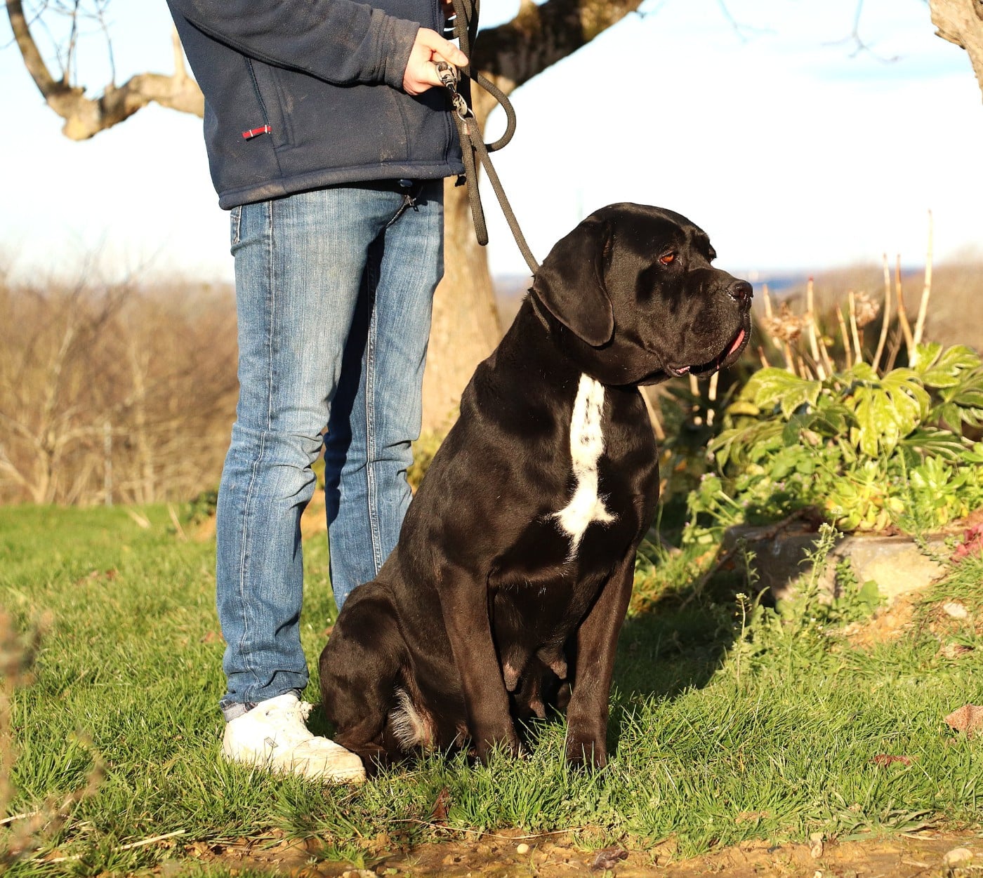 Rihanna (Sans Affixe)