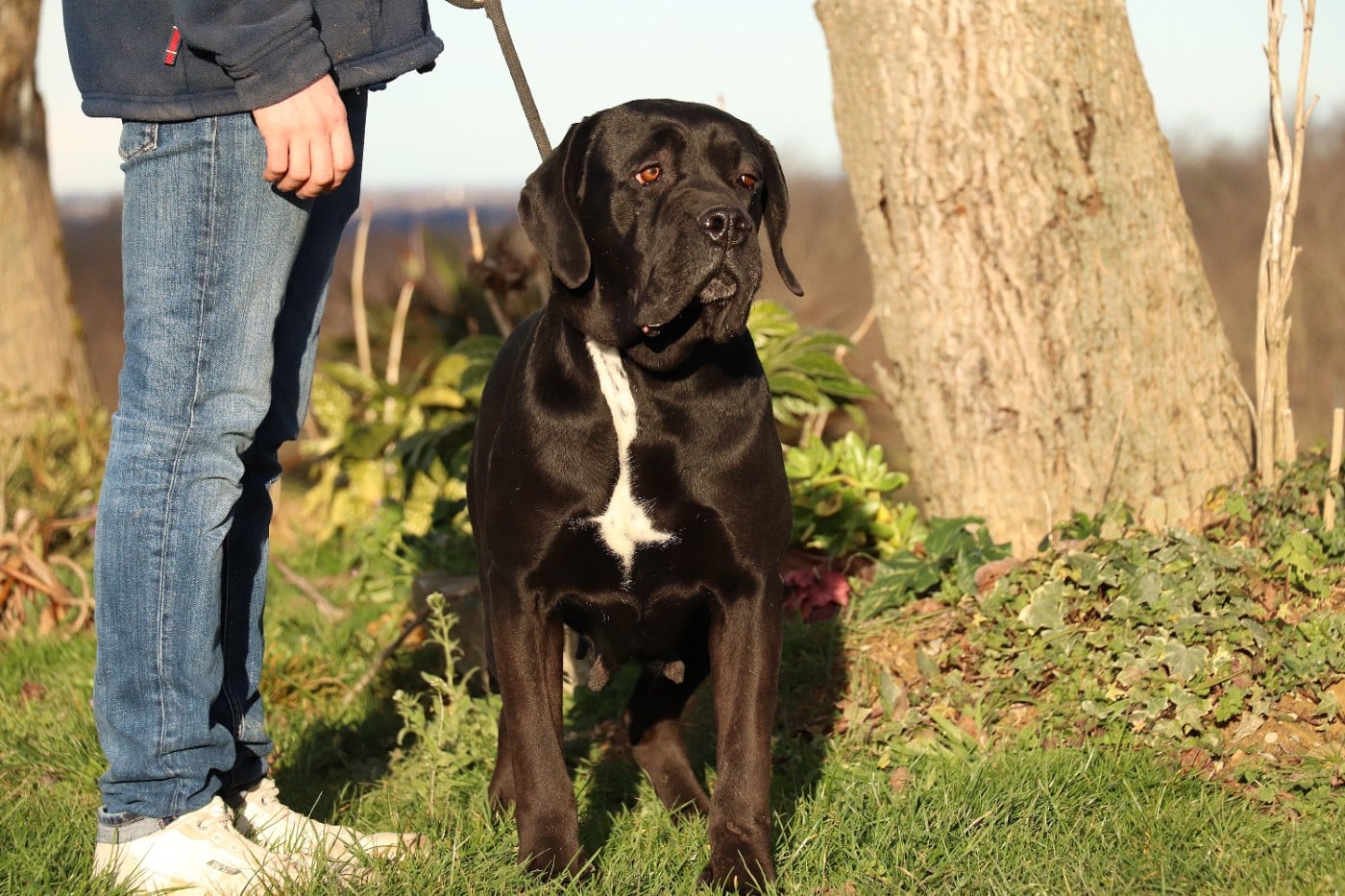 Rihanna (Sans Affixe)