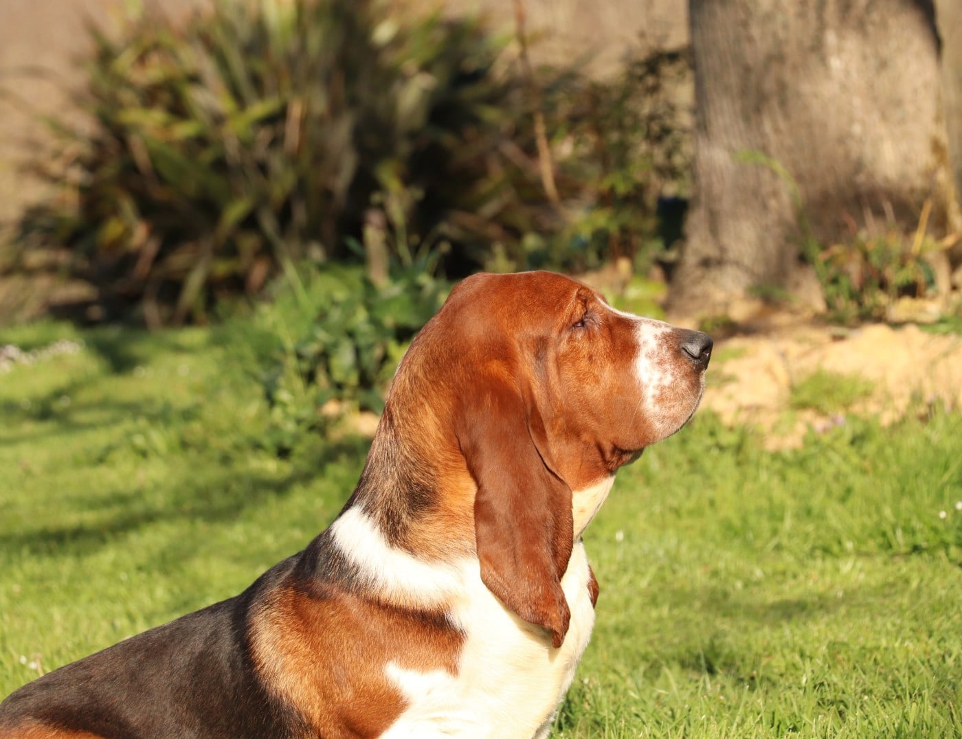 victor Du Domaine Des Vents Landais