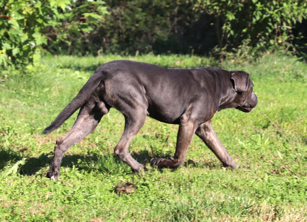 Vegas Du Domaine Des Vents Landais