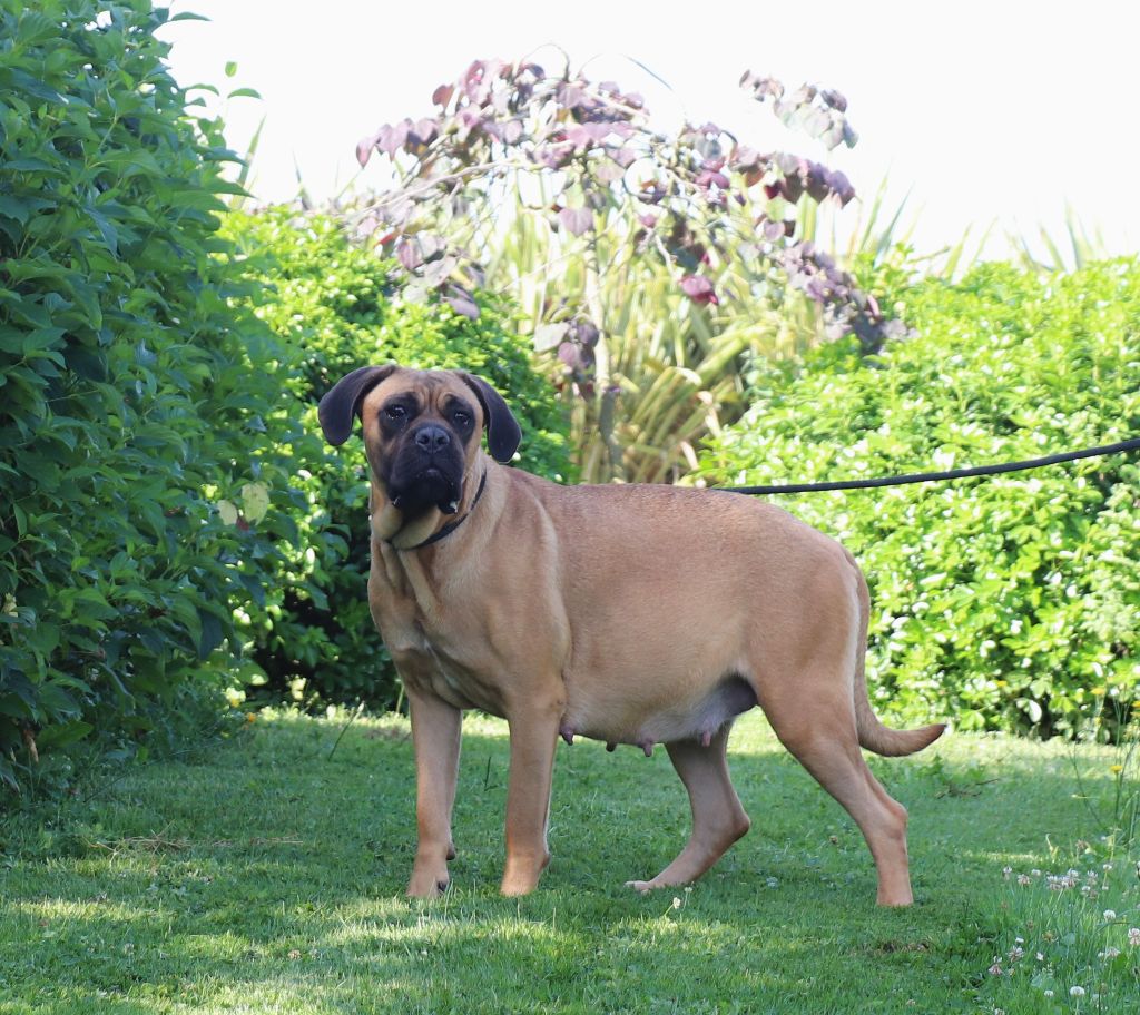 Umbala Du Domaine Des Vents Landais