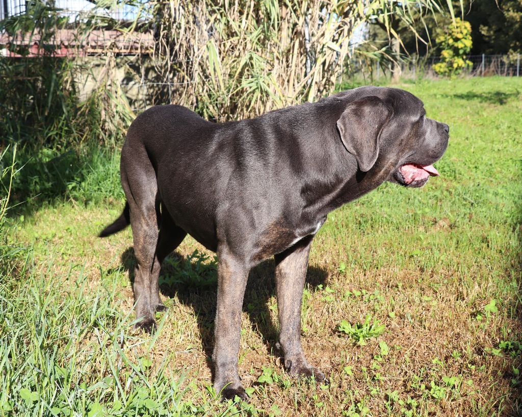 Vegas Du Domaine Des Vents Landais