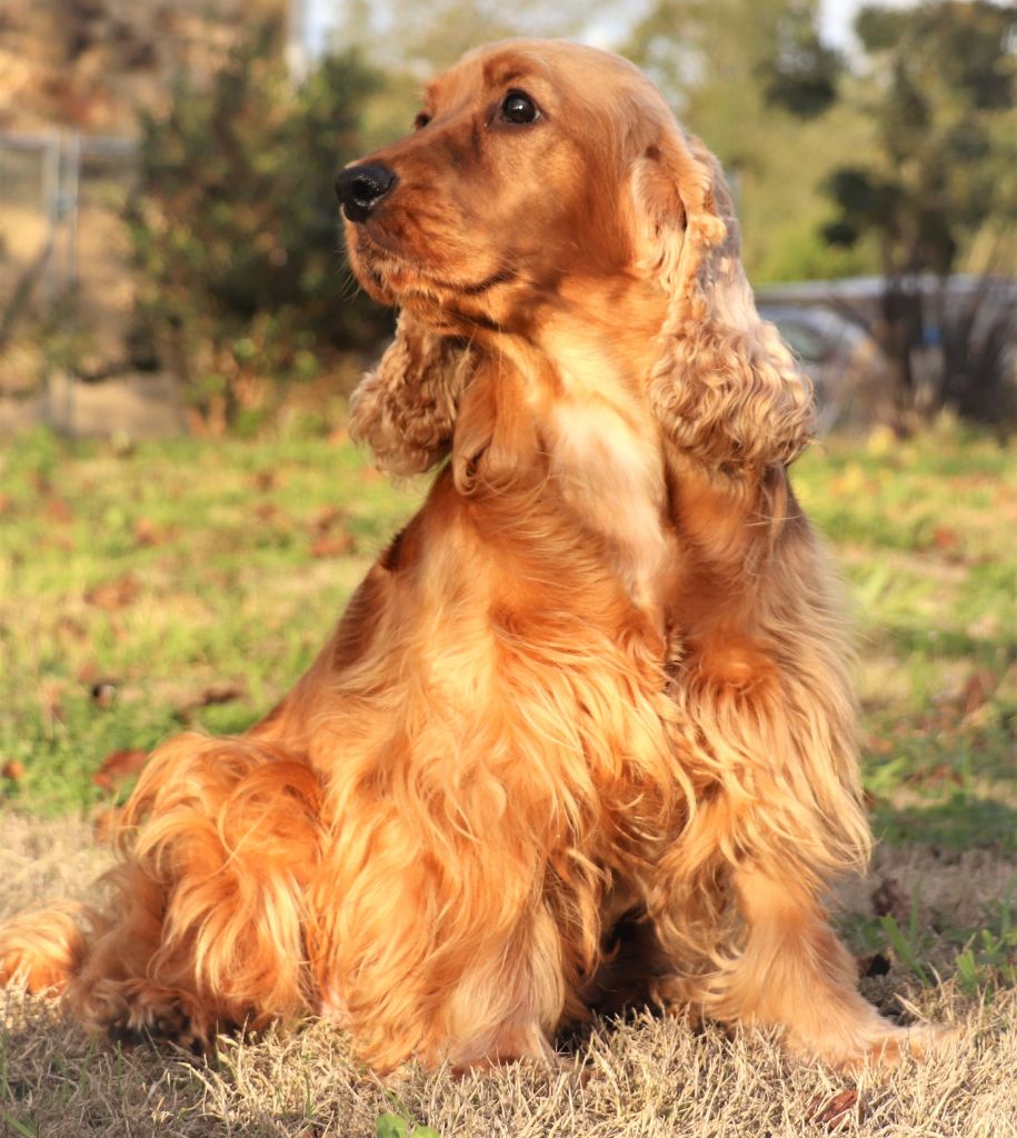 Publication : Du Domaine Des Vents Landais