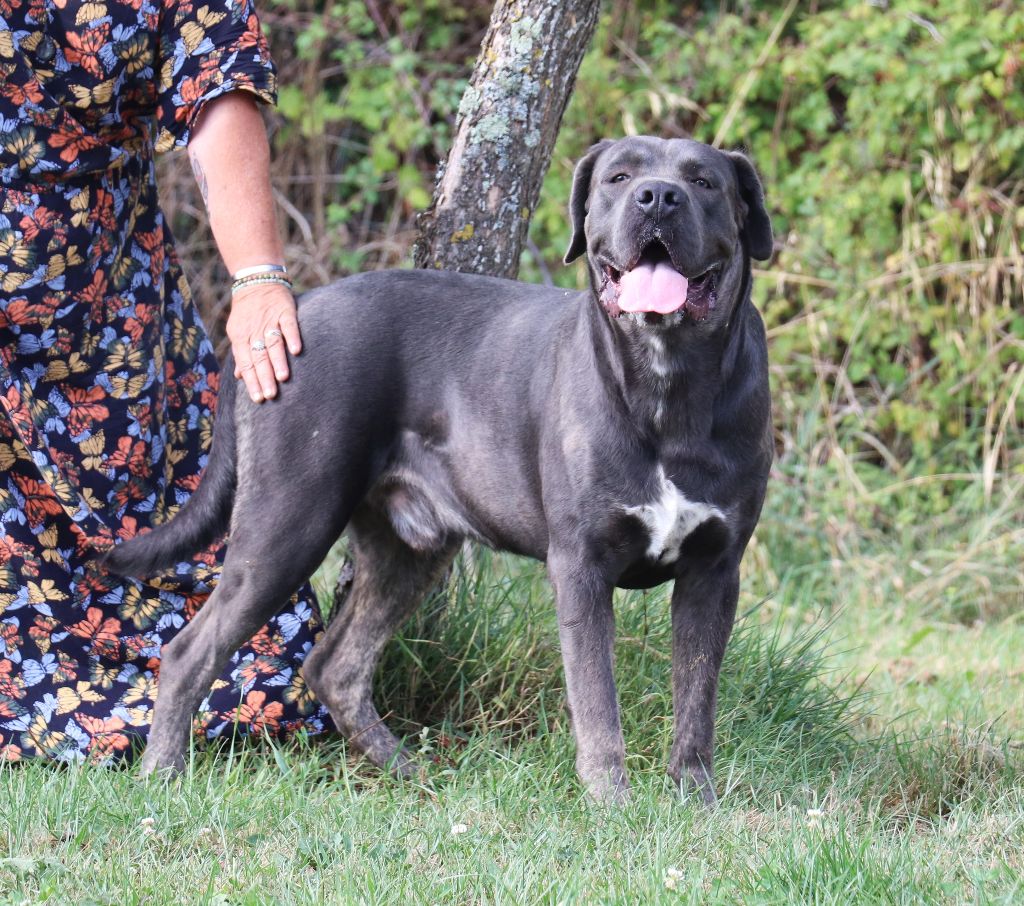 Volt Du Domaine Des Vents Landais
