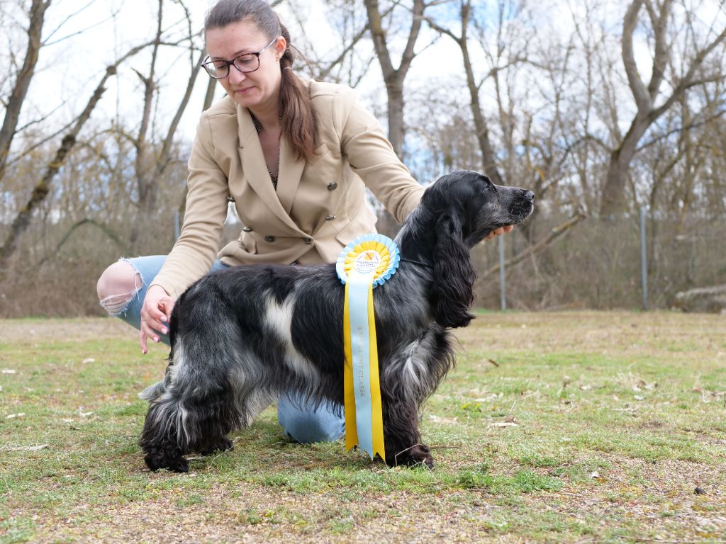 Sky lady blue de la Veine d'or des Pyrénées