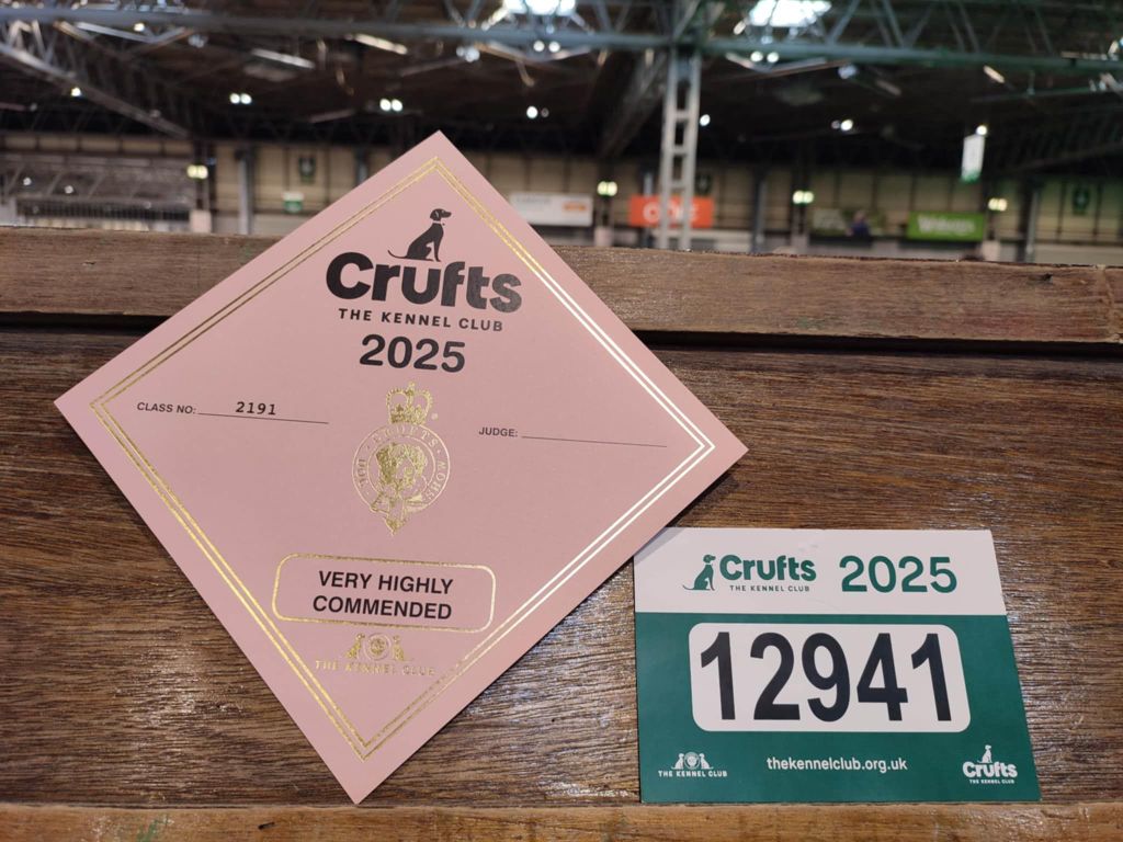 CH. Tudo bem de la rivière d'opale