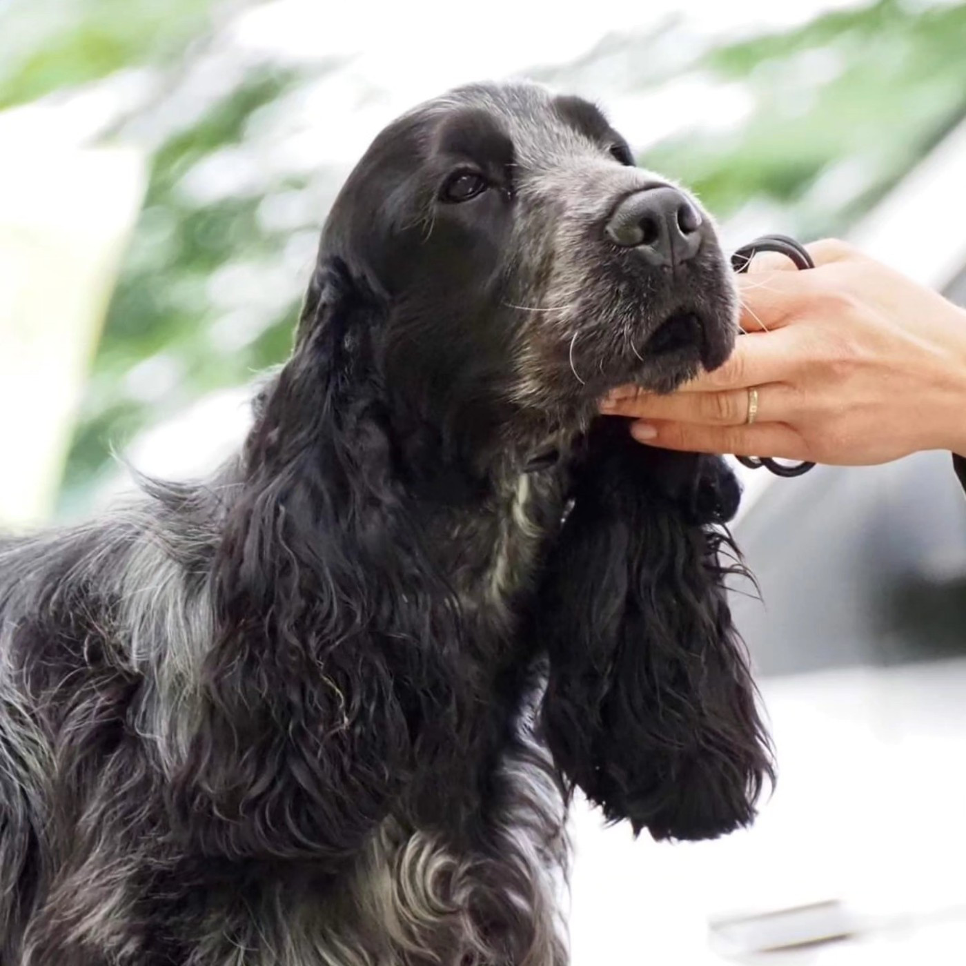 Publication : de la rivière d'opale