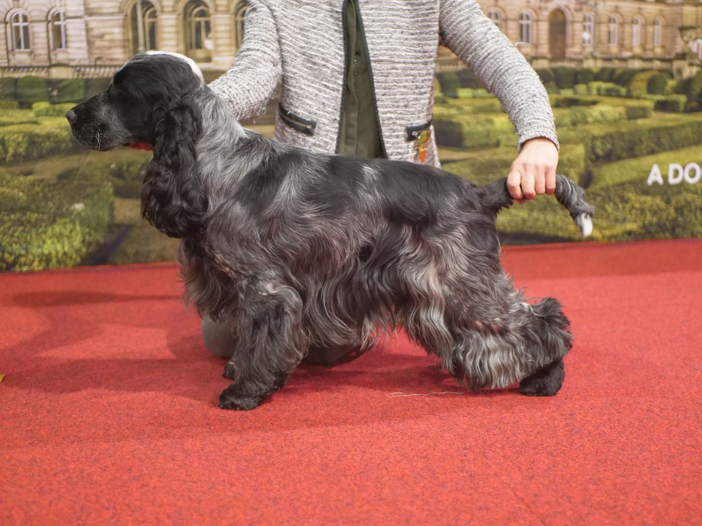 Publication : de la rivière d'opale