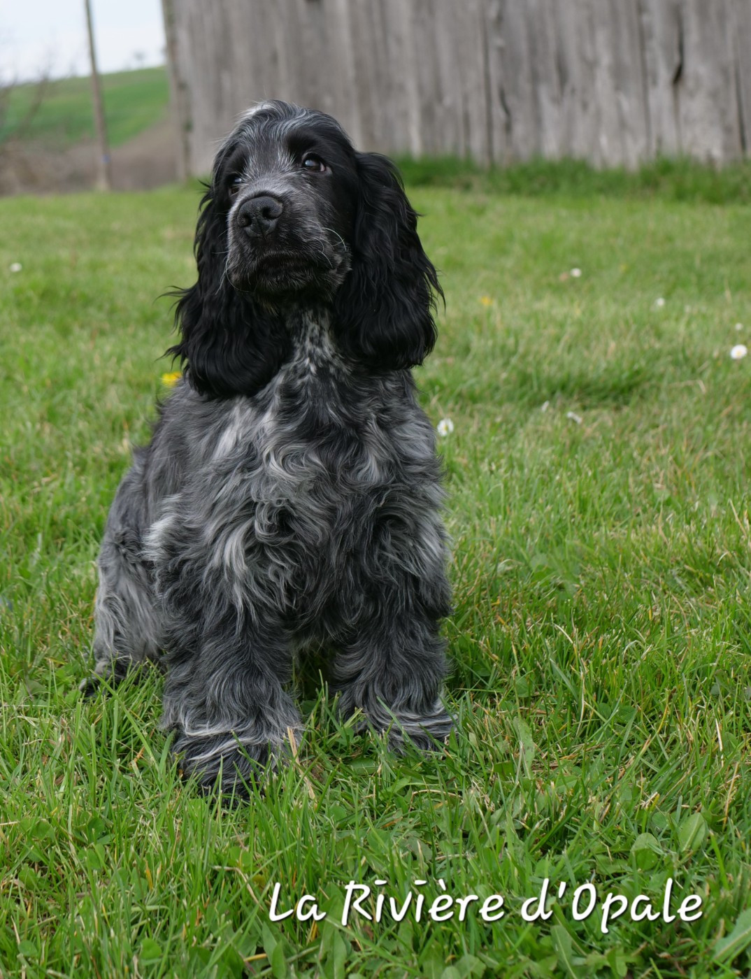 Publication : de la rivière d'opale