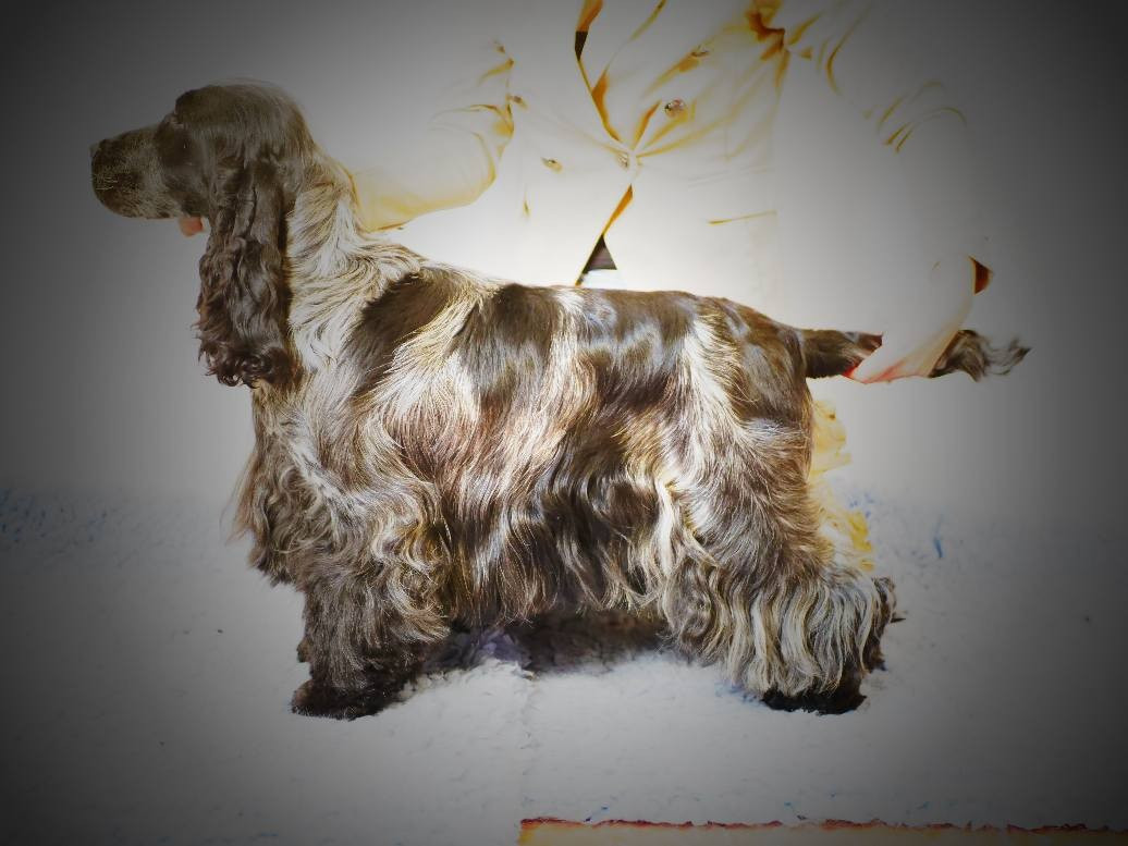 Publication : de la rivière d'opale