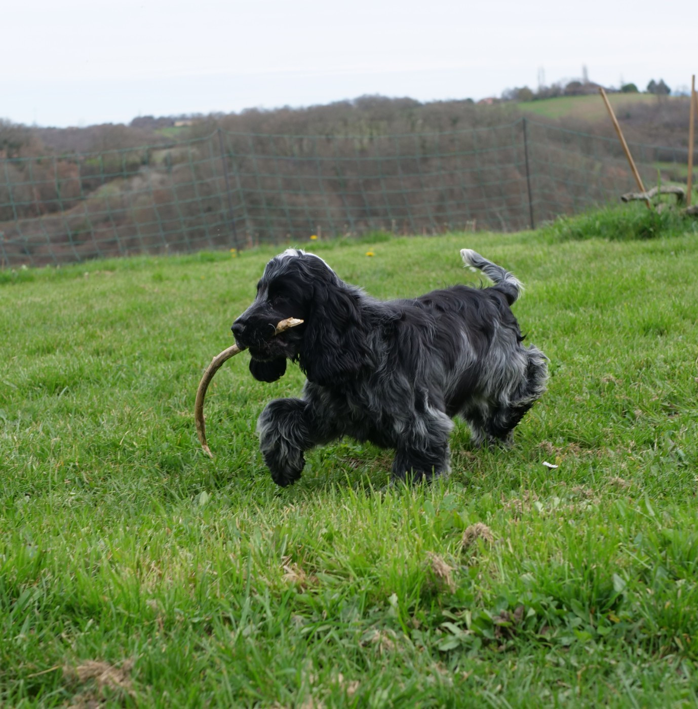 Publication : de la rivière d'opale