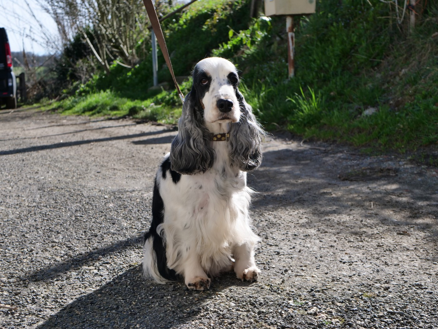 Reine des neiges de la Veine d'or des Pyrénées