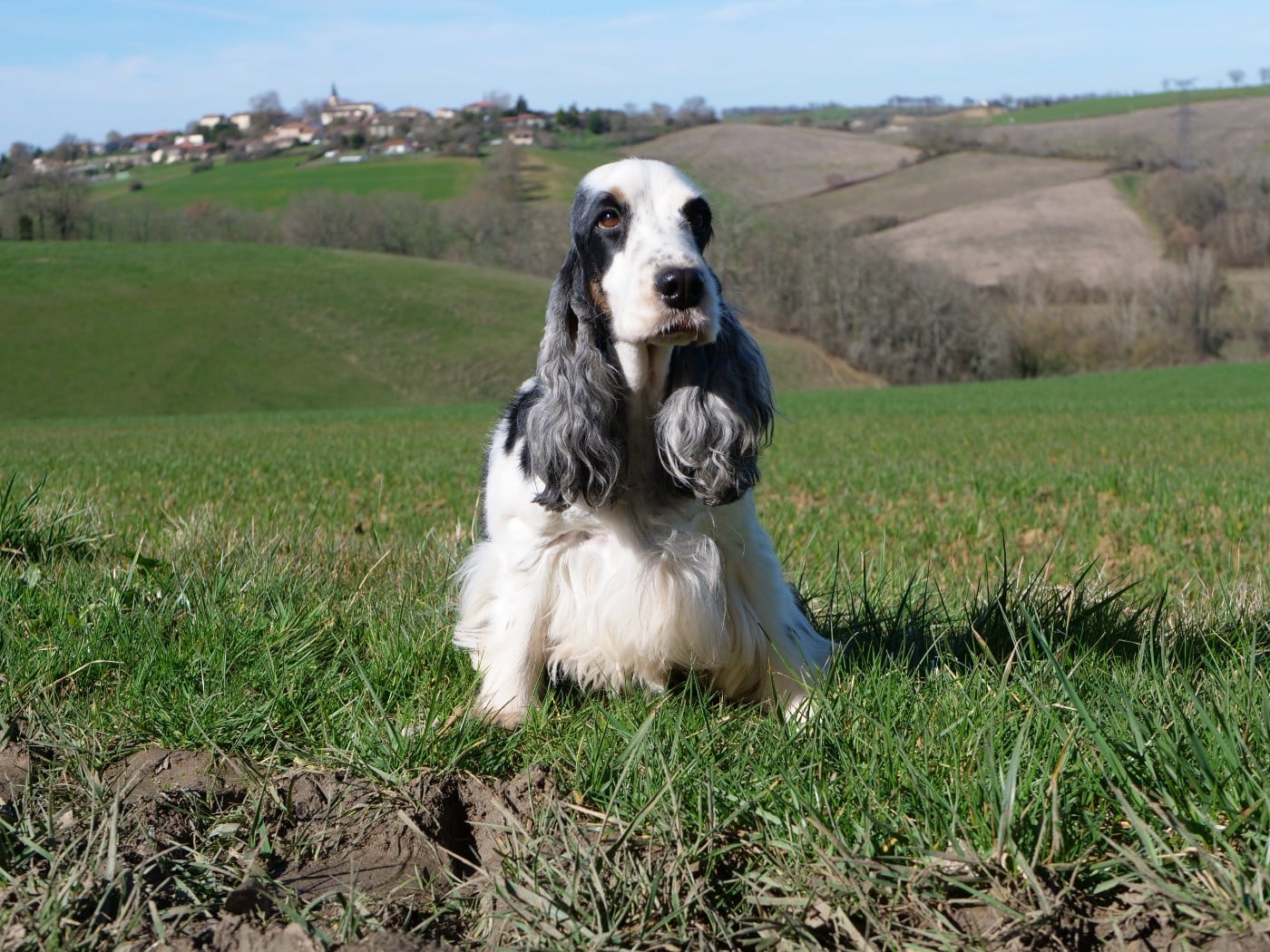 Reine des neiges de la Veine d'or des Pyrénées