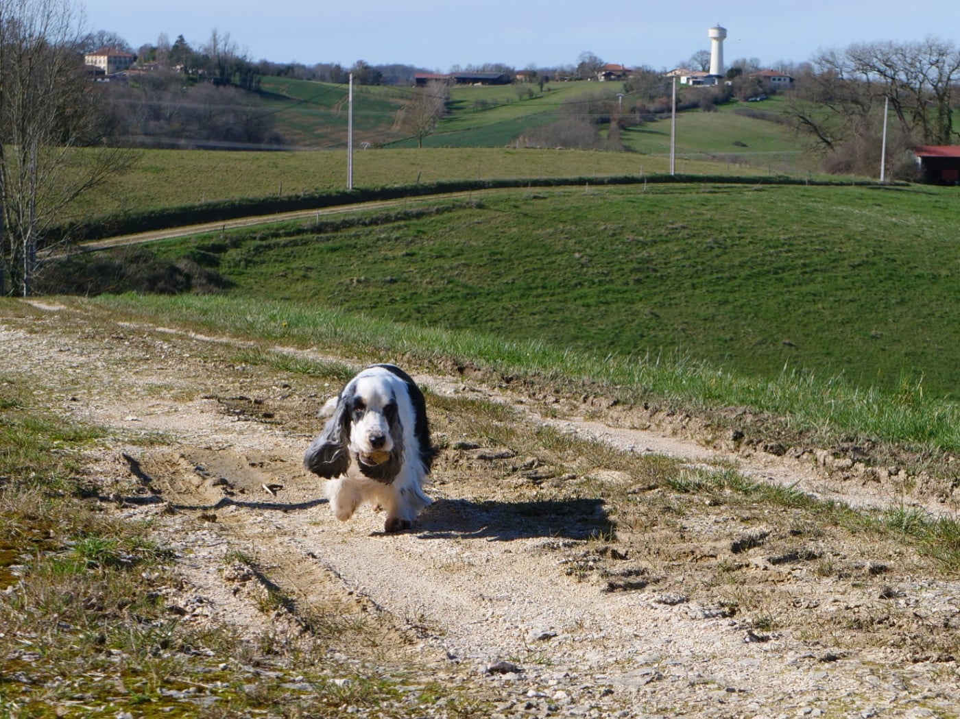 Reine des neiges de la Veine d'or des Pyrénées
