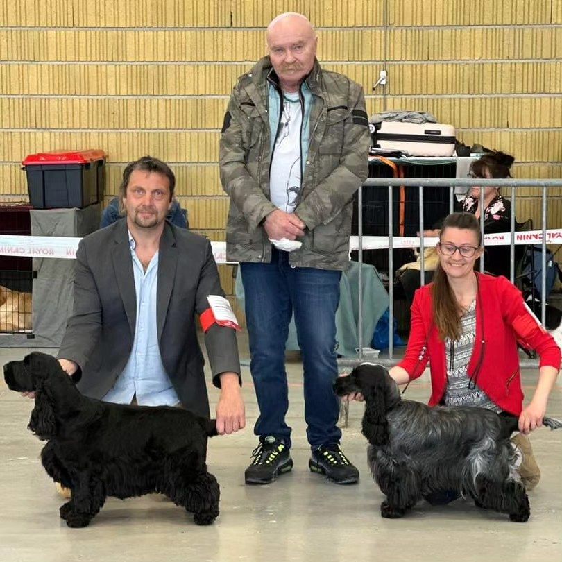 CH. Tudo bem de la rivière d'opale