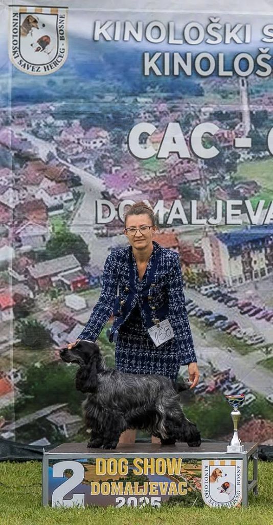 CH. Tudo bem de la rivière d'opale