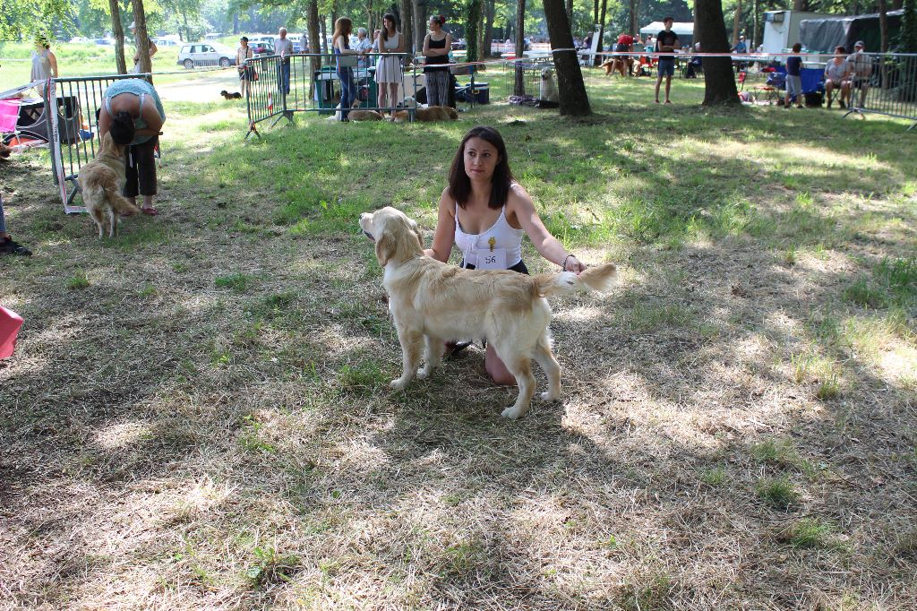 CH. Nouvelle pierre précieuse de la rivière d'opale - Très Prometteur