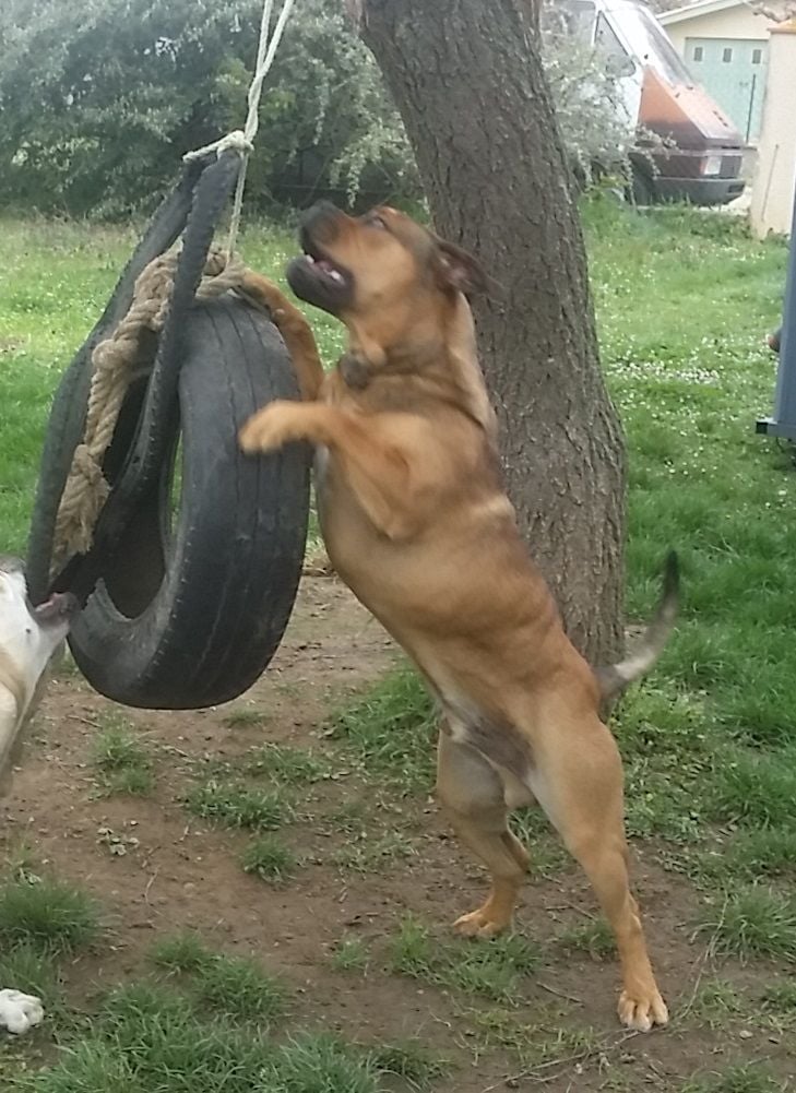 Publication : (Sans Affixe)