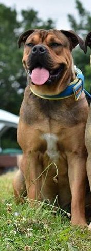 Publication : (Sans Affixe)