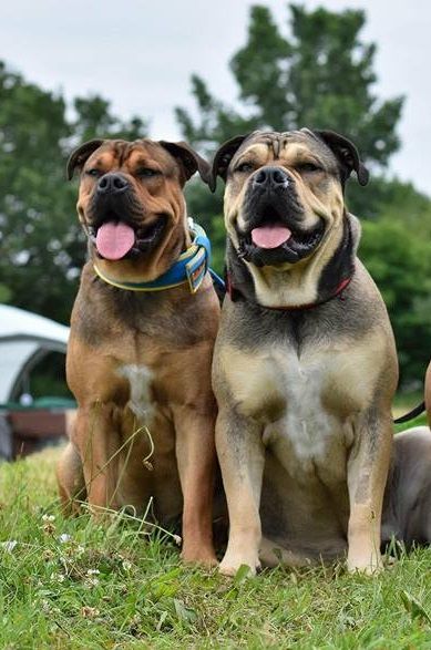 Publication : (Sans Affixe)