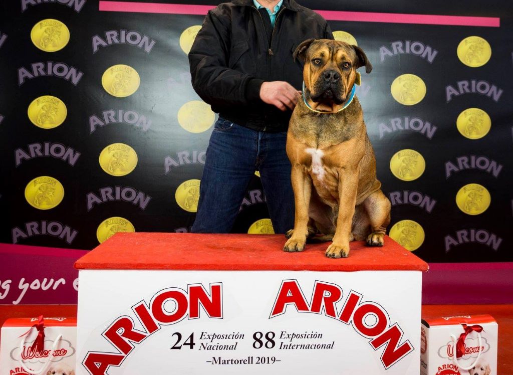 Publication : (Sans Affixe)