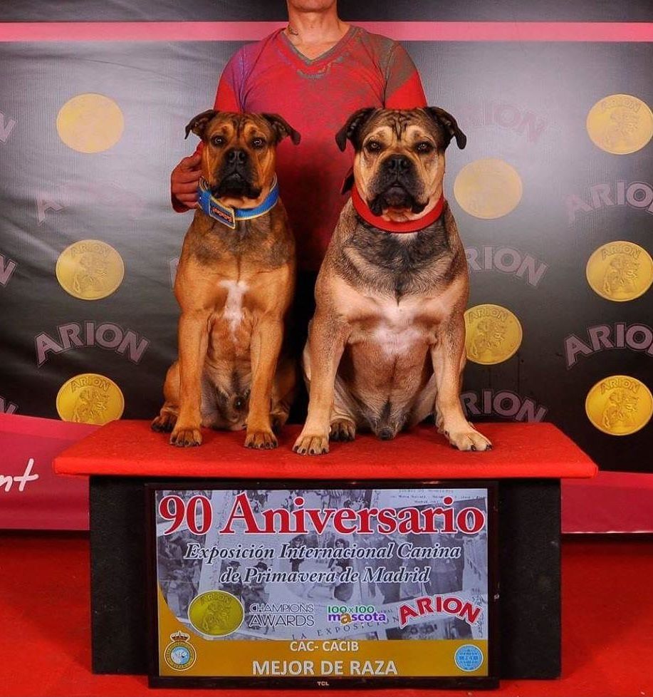 Publication : (Sans Affixe)