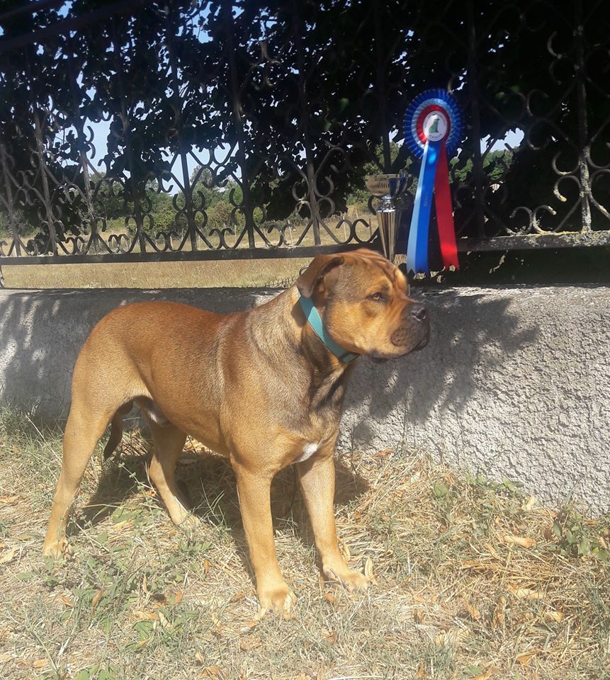 Publication : (Sans Affixe)