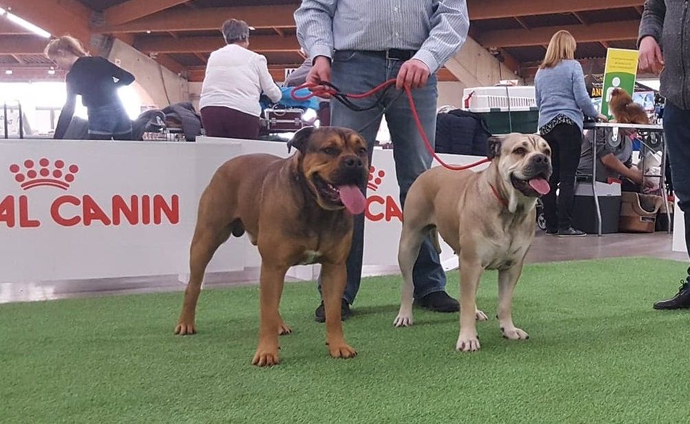 Publication : (Sans Affixe)