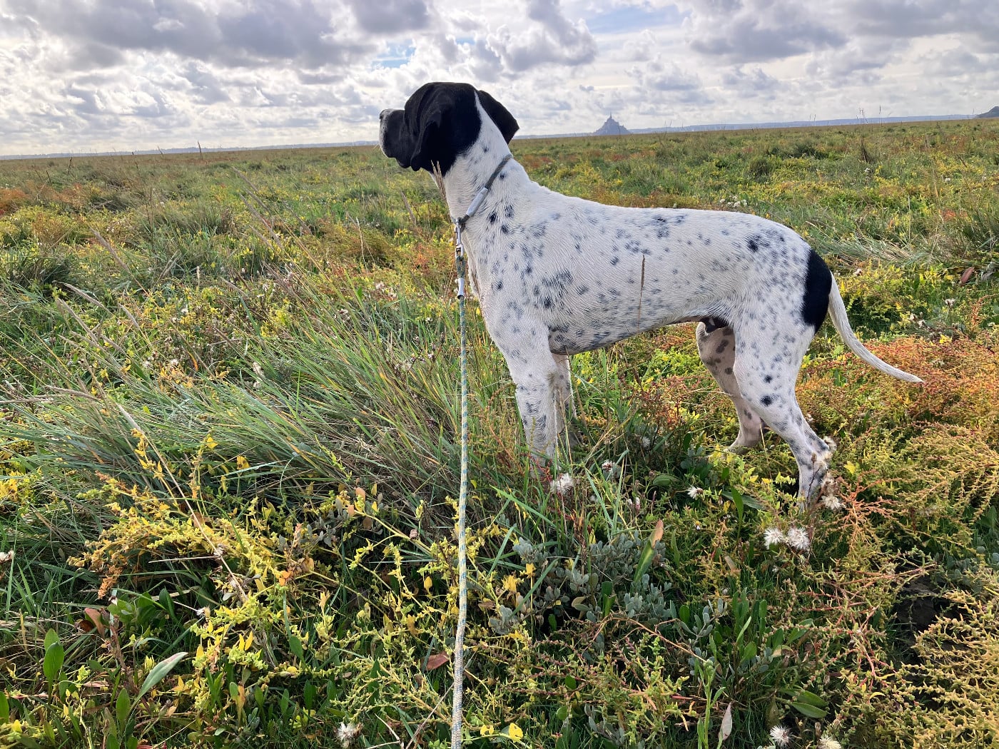 Publication : De La Rance Emeraude