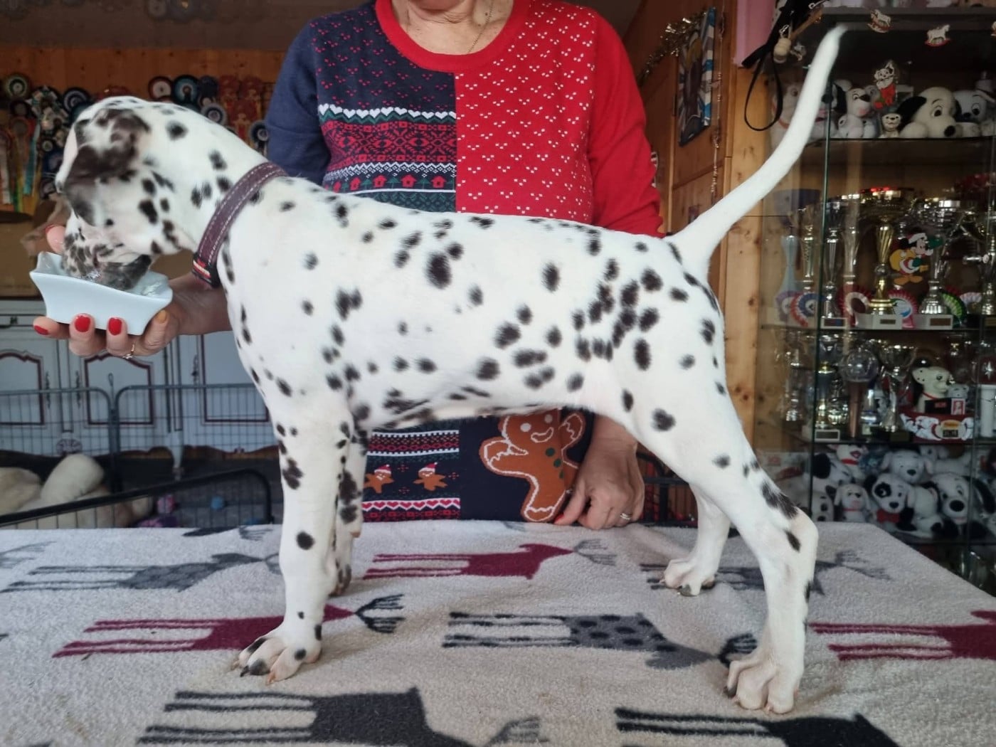 Apple Of My Eye Du Clos De Patch