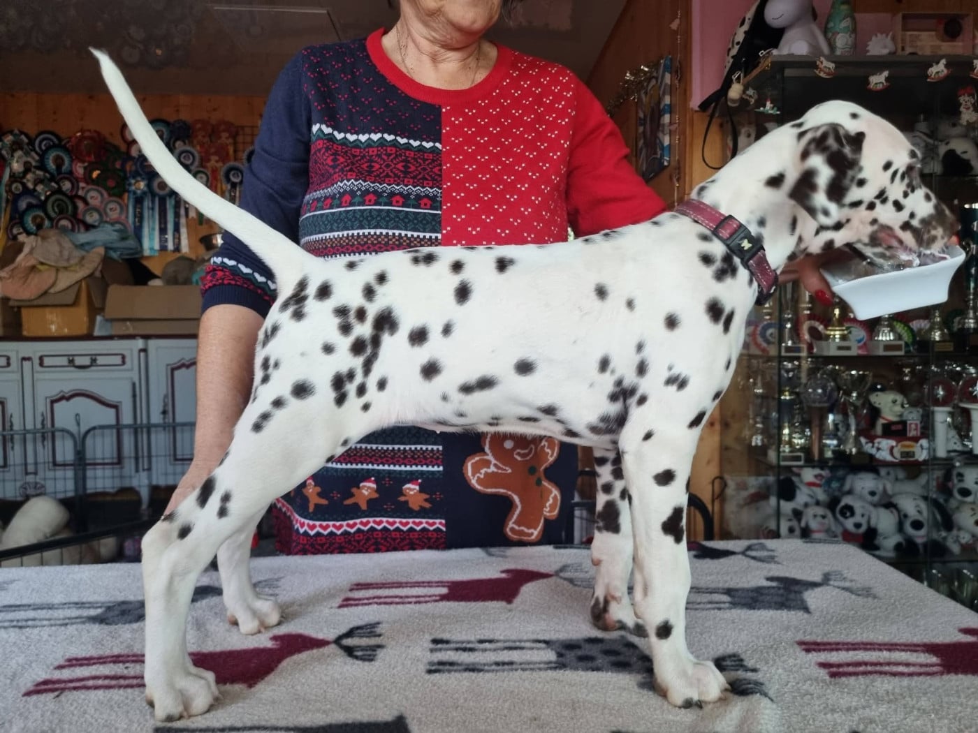 Apple Of My Eye Du Clos De Patch